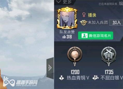 和平精英辅助《战神w》直装全网首发吃鸡吃到手软